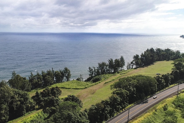 29-3818 Hawaii Belt Rd, Hakalau, HI 96710