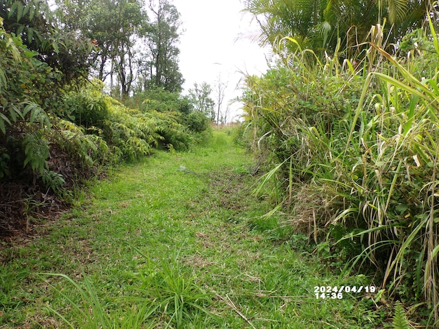 11-2202 Omeka Rd, Volcano, HI 96785