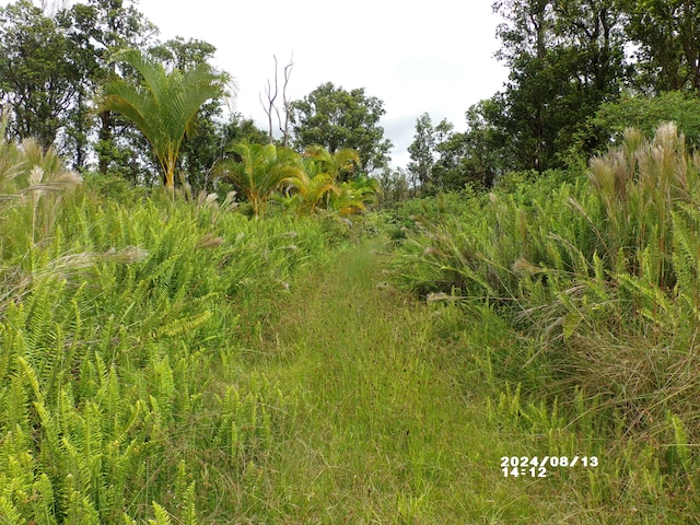 11-2202 Omeka Rd, Volcano, HI 96785