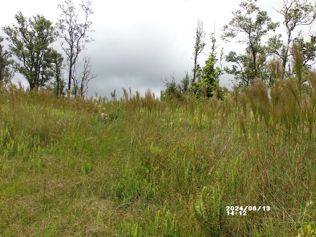 11-2202 Omeka Rd, Volcano, HI 96785