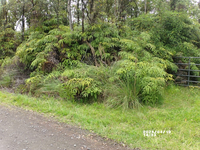 11-2202 Omeka Rd, Volcano, HI 96785