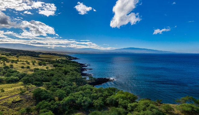 59-460 Kanaloa Dr, Kamuela, HI 96743