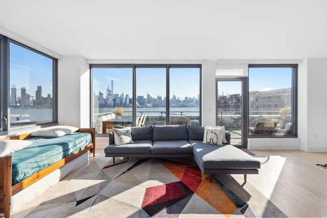 interior space with light hardwood / wood-style floors and a wall of windows