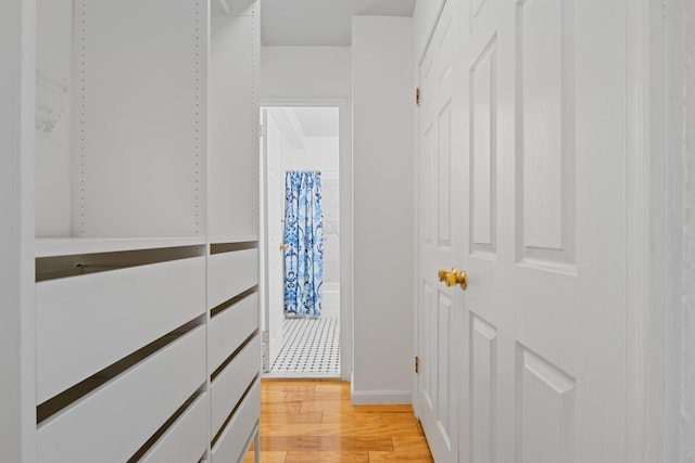 walk in closet with light hardwood / wood-style flooring