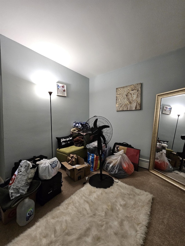 carpeted bedroom featuring baseboard heating