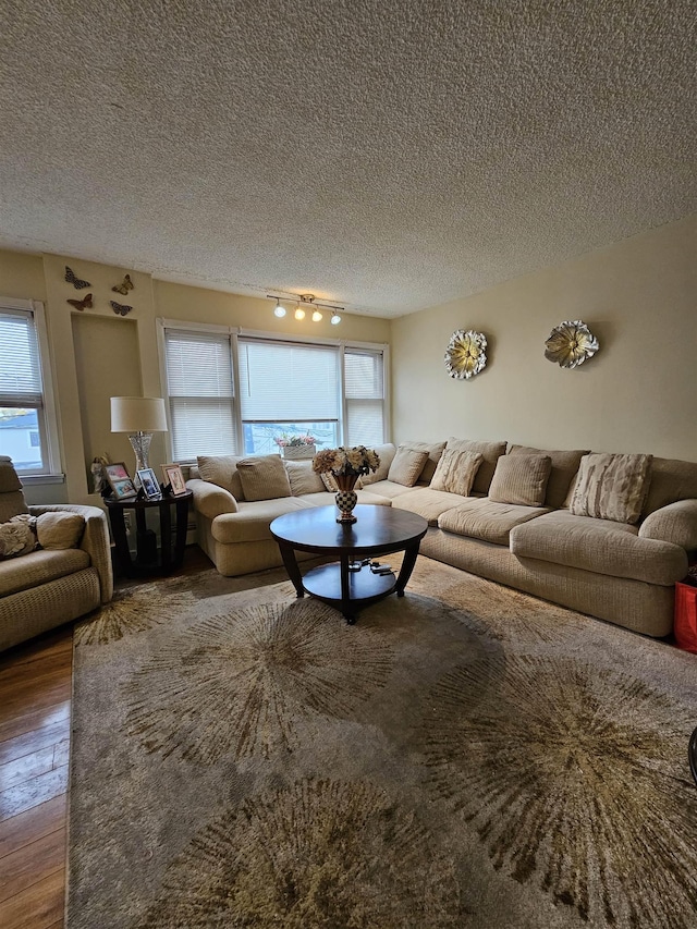 living room featuring a wealth of natural light, rail lighting, wood-type flooring, and a textured ceiling