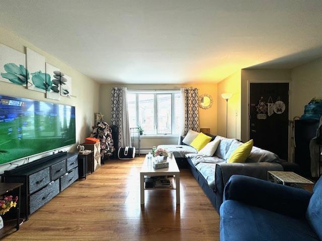 living room featuring a baseboard radiator and light hardwood / wood-style flooring