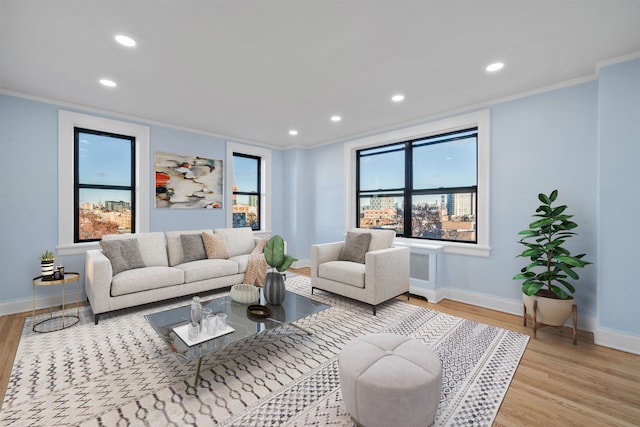 living room featuring light hardwood / wood-style floors, plenty of natural light, and ornamental molding