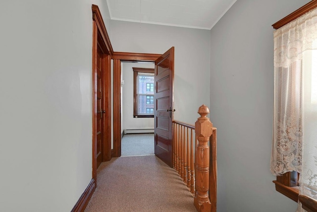 hall with baseboard heating, attic access, crown molding, and carpet