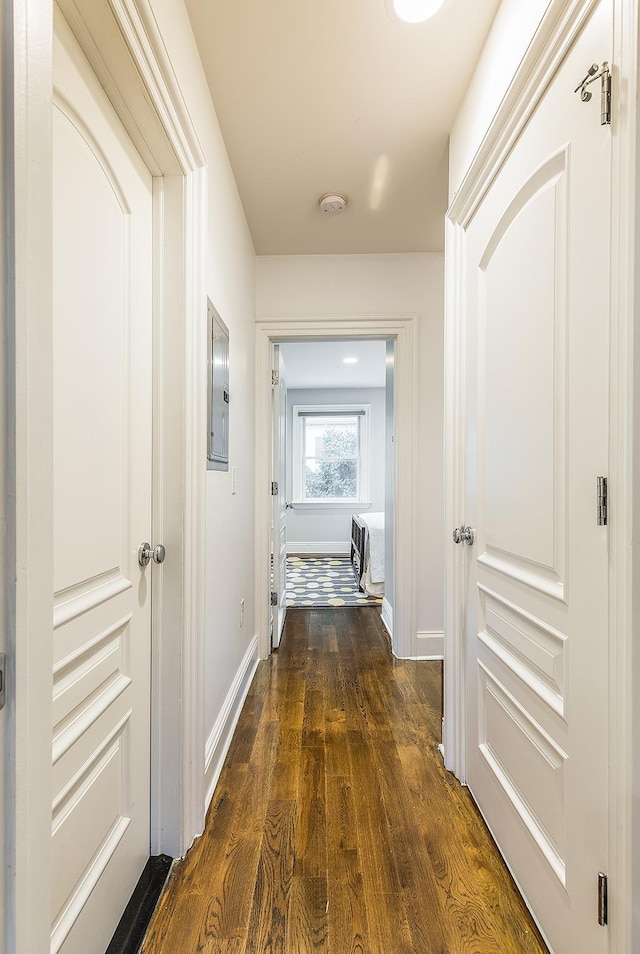 corridor featuring electric panel and dark hardwood / wood-style floors