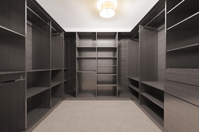 380 Mountain Rd Unit 1906-1907, Union City, NJ 07087 - walk in closet with carpet