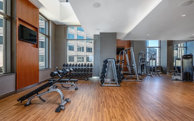 workout area featuring light hardwood / wood-style flooring, a healthy amount of sunlight, and floor to ceiling windows