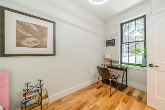 office featuring light hardwood / wood-style flooring and a wealth of natural light