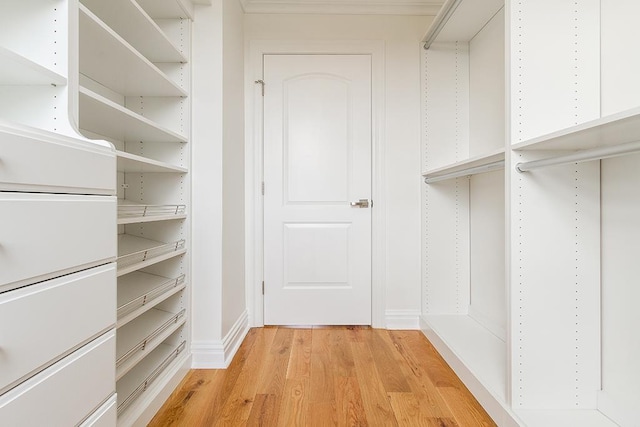 spacious closet with light wood-style flooring