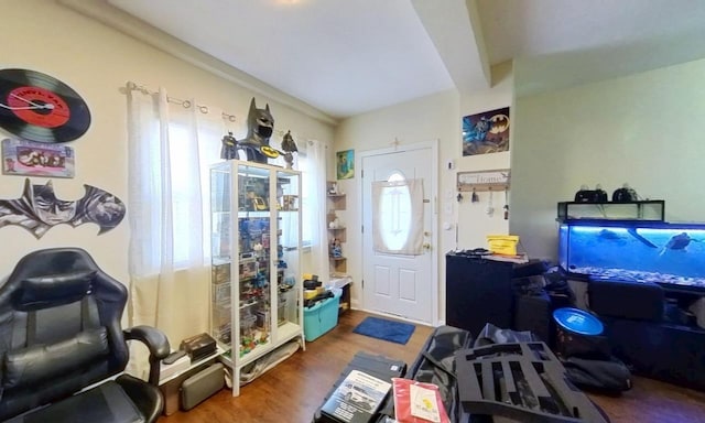 entryway with wood finished floors