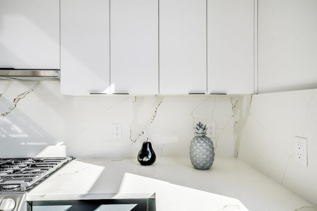 details featuring tasteful backsplash, light stone counters, white cabinets, and exhaust hood