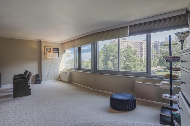 1 Claridge Dr Unit 310, Verona, NJ 07044 - view of sunroom