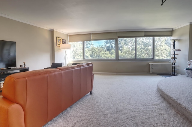 1 Claridge Dr Unit 310, Verona, NJ 07044 - living room with ornamental molding and carpet flooring