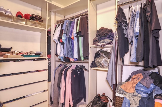 1 Claridge Dr Unit 310, Verona, NJ 07044 - view of spacious closet