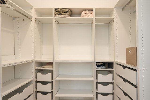 view of spacious closet