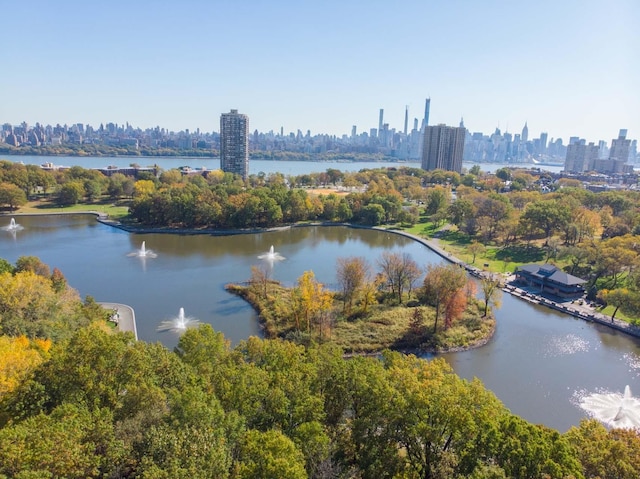 water view featuring a city view