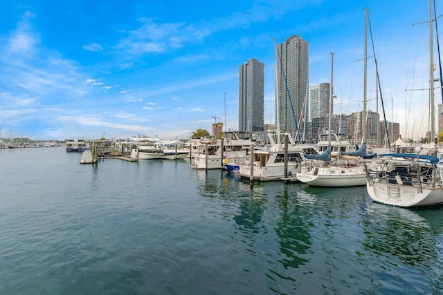 dock area with a water view