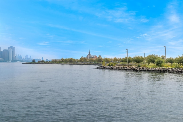 water view featuring a view of city