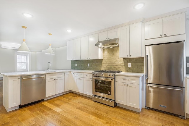 kitchen with light wood finished floors, under cabinet range hood, light countertops, a peninsula, and stainless steel appliances