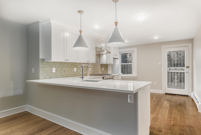 kitchen with under cabinet range hood, backsplash, wood finished floors, and a sink