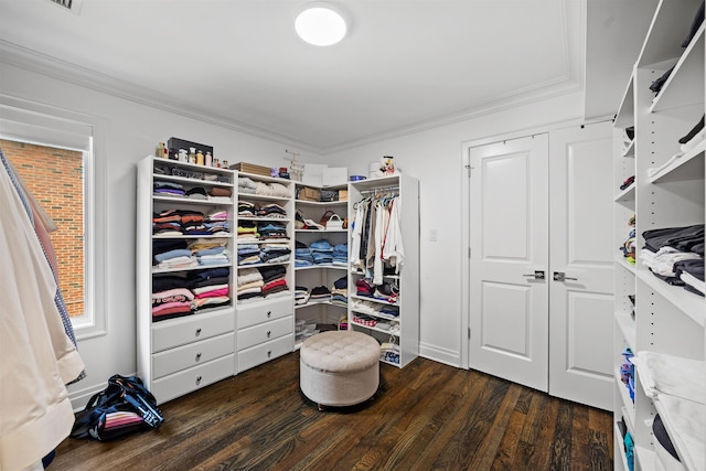 spacious closet featuring dark wood-type flooring