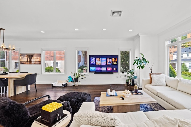 living room with a healthy amount of sunlight, an inviting chandelier, dark hardwood / wood-style floors, and ornamental molding