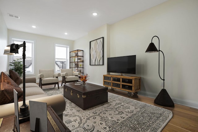 living room with wood-type flooring