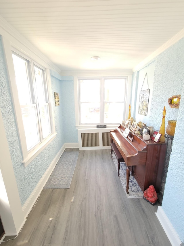 sunroom with plenty of natural light and radiator