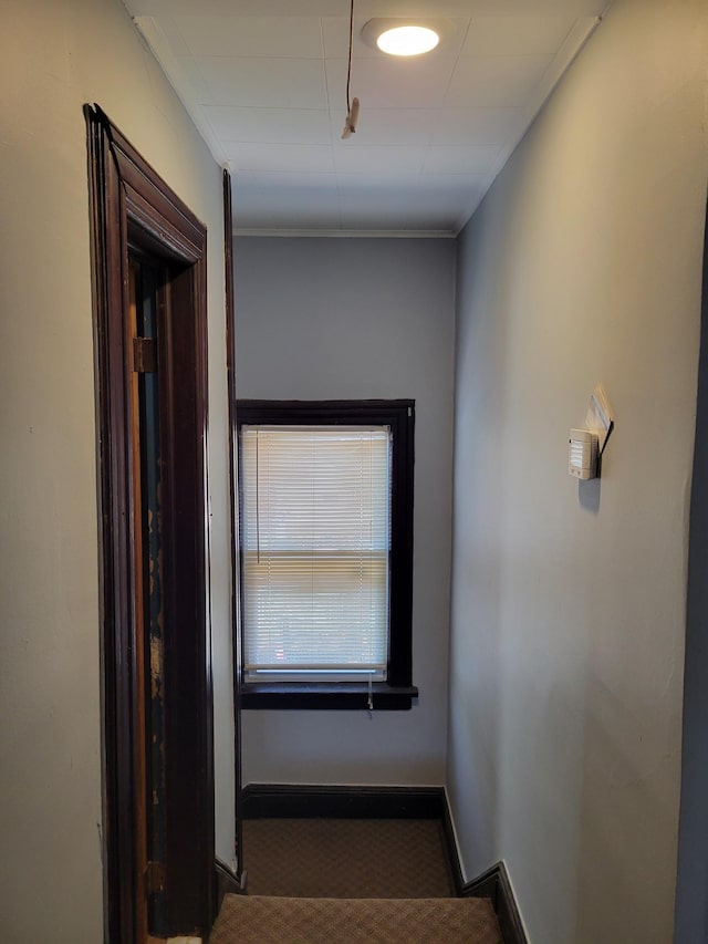 hall with carpet flooring and baseboards