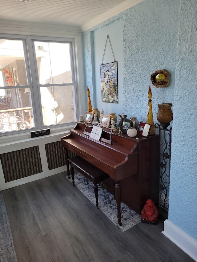 sitting room with crown molding, wood finished floors, and radiator
