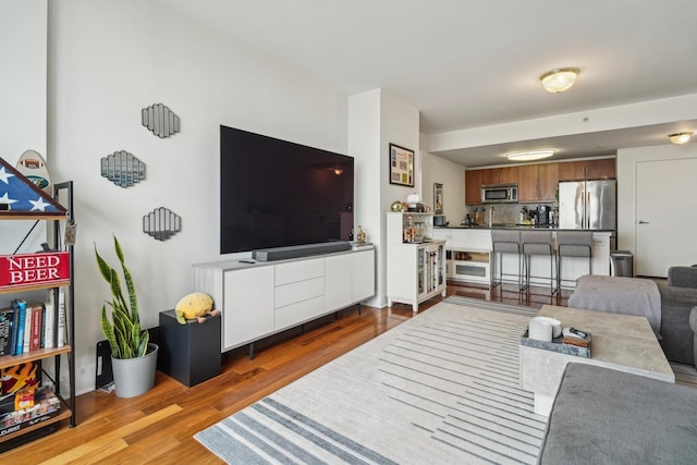 living room with hardwood / wood-style floors