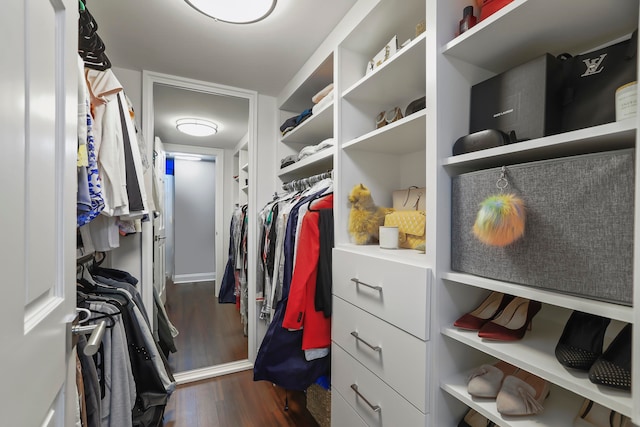 walk in closet featuring dark hardwood / wood-style flooring