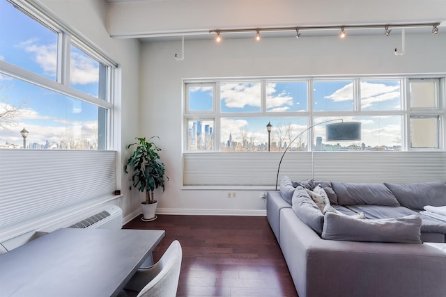 living room with dark hardwood / wood-style floors and track lighting