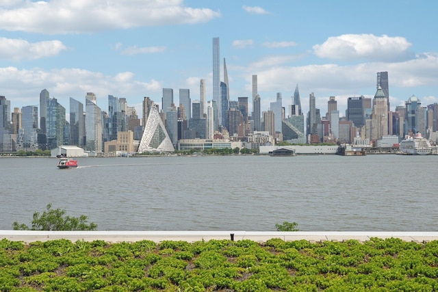 800 Ave At Port Imperial Unit 305, Weehawken, NJ 07086 - photo 3
