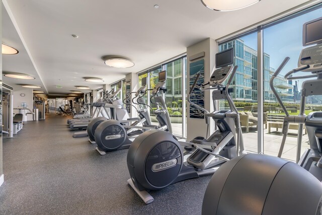 gym with floor to ceiling windows