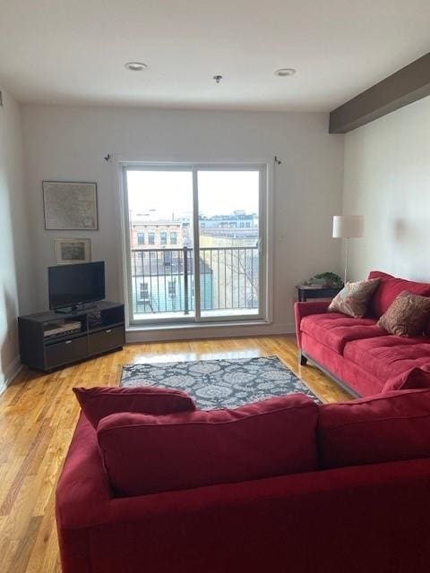 living room with light hardwood / wood-style flooring