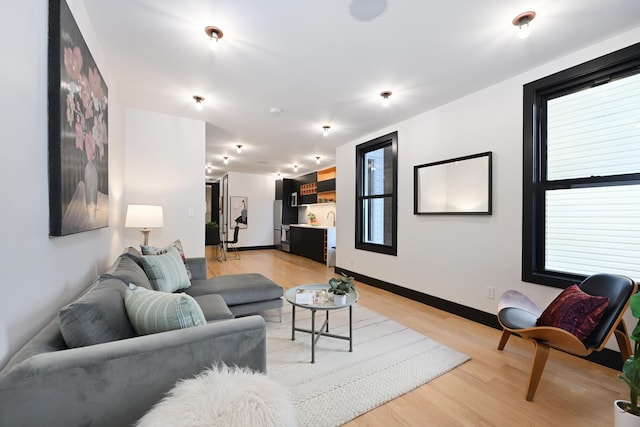 living room featuring light wood-type flooring