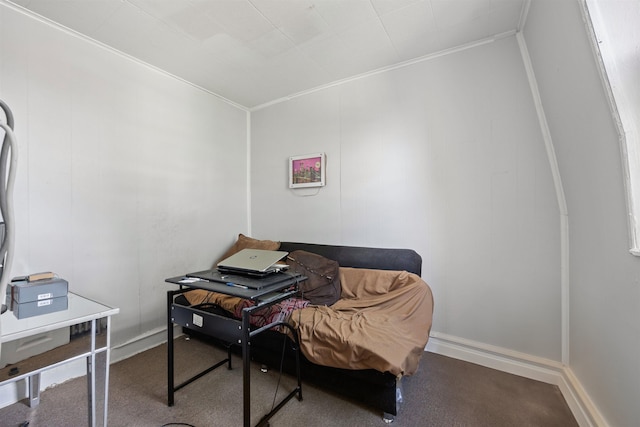 office with carpet floors and ornamental molding