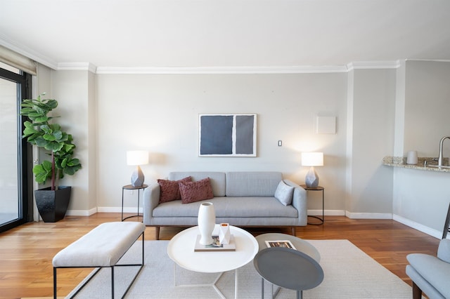 living room featuring light wood-type flooring and crown molding