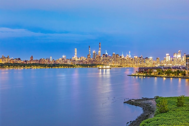 water view with a view of skyline