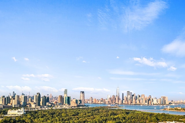 300 Communipaw Ave Unit 122, Jersey City, NJ 07304 - view of city skyline featuring a nearby body of water