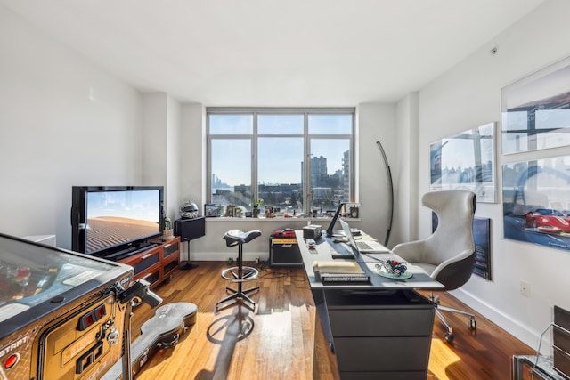 living room featuring hardwood / wood-style floors