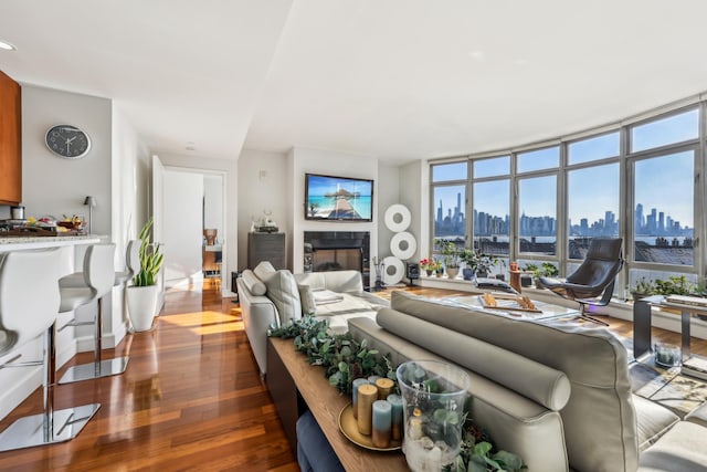 living room with hardwood / wood-style floors and expansive windows