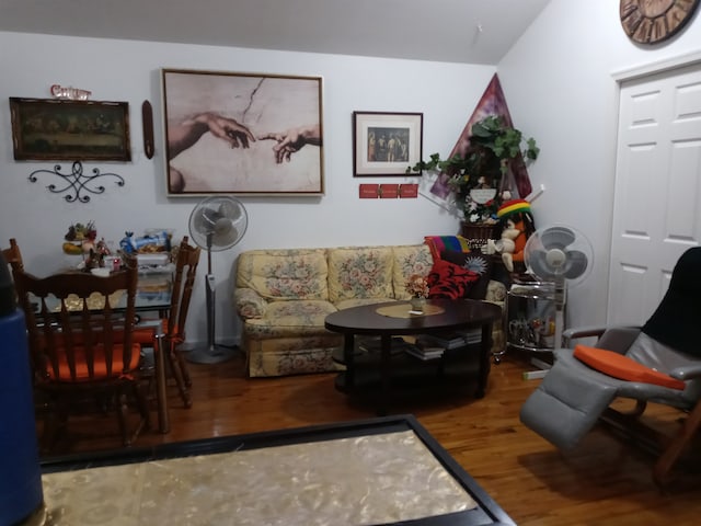 living room featuring wood-type flooring