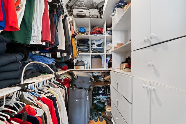 view of walk in closet